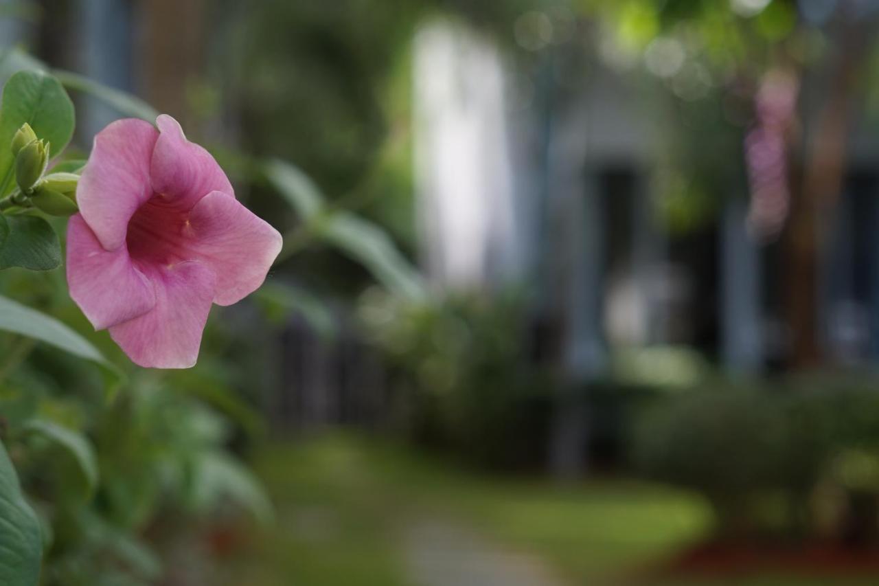 Phu Quoc Hotel Kültér fotó