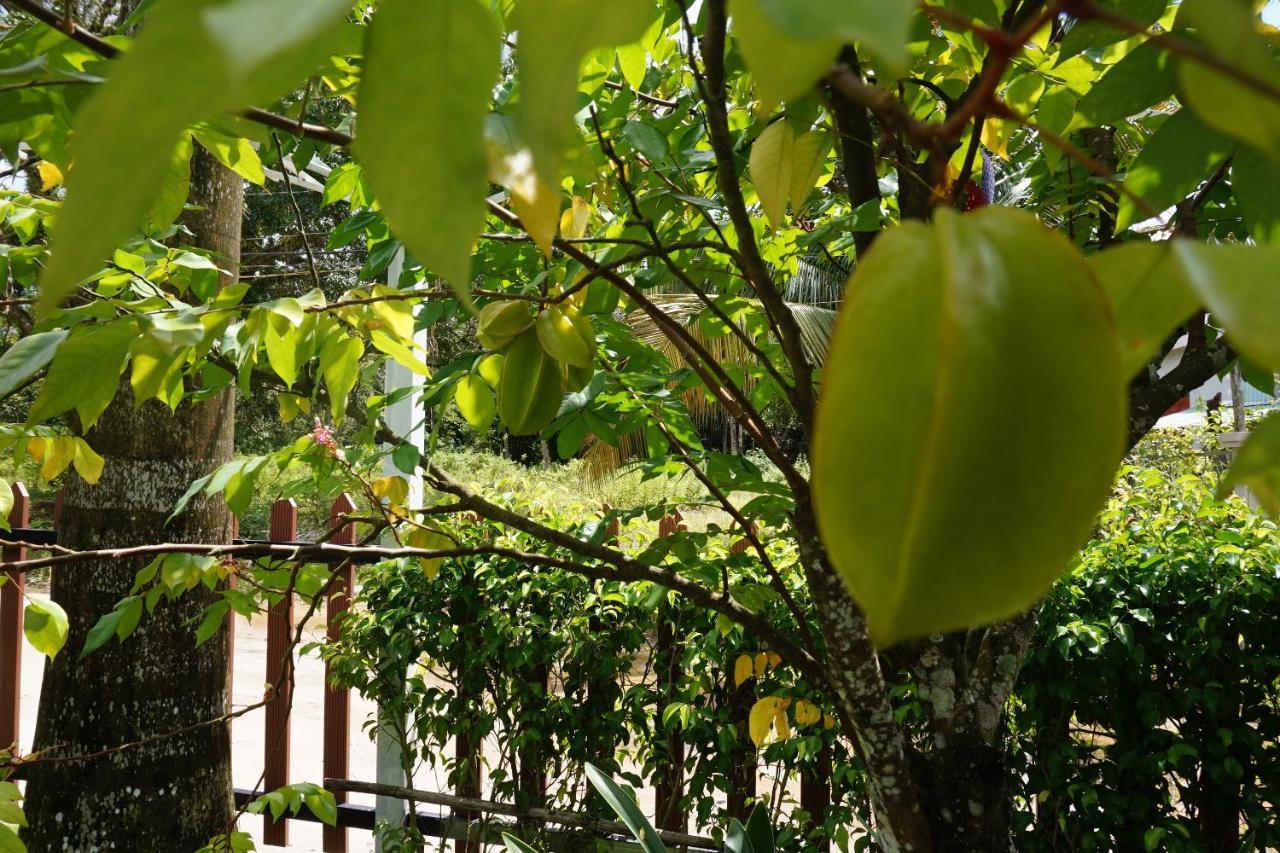 Phu Quoc Hotel Kültér fotó